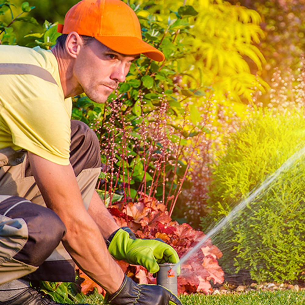 Technician repairing a sprinkler head on a green lawn