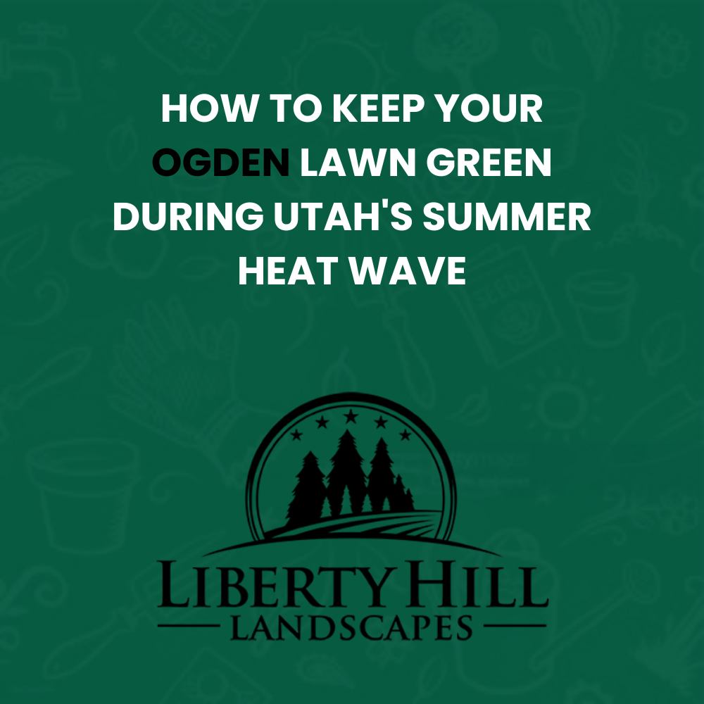 Ogden lawn care summer