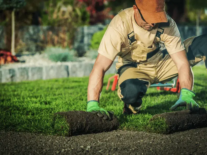 how to fix soil erosion in yard