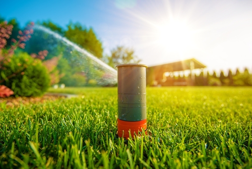 Spring Sprinkler Startup Checklist for Ogden and South Ogden Homeowners